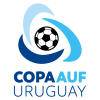 Puchar Urugwaju